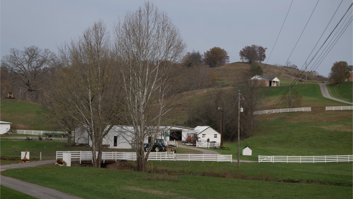 open field image